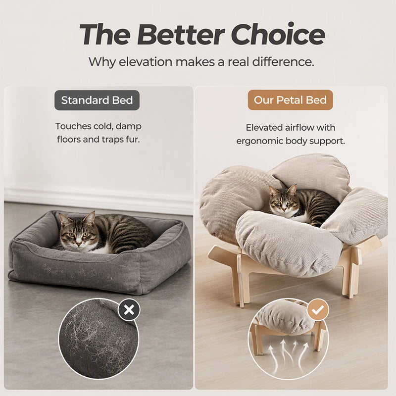 🌼 ¡50% DE DESCUENTO POR TIEMPO LIMITADO! 🐾 Cama de Madera Elevada en Forma de Pétalo para Mascotas con Cojín – Soporte Ortopédico, Diseño Transpirable y Madera Maciza – Un Retiro Acogedor ✨