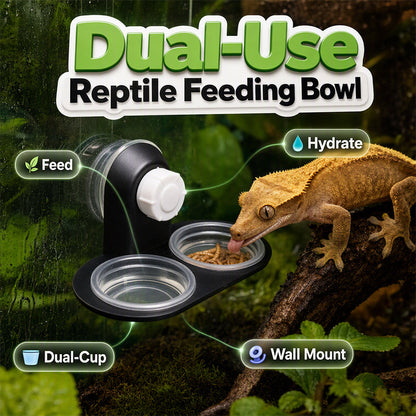 🦎 Comedero Doble Colgante para Reptiles con Ventosa y Tazones Desmontables