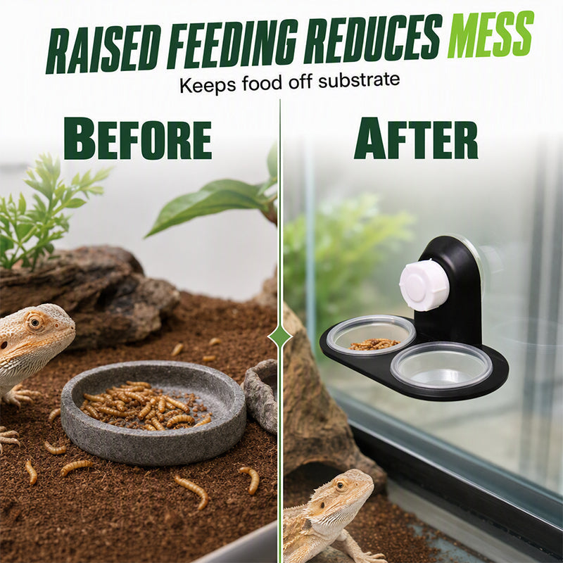 🦎 Comedero Doble Colgante para Reptiles con Ventosa y Tazones Desmontables