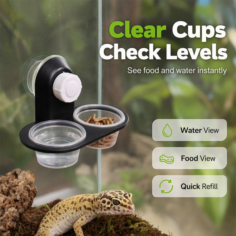 🦎 Comedero Doble Colgante para Reptiles con Ventosa y Tazones Desmontables