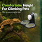 🦎 Comedero Doble Colgante para Reptiles con Ventosa y Tazones Desmontables