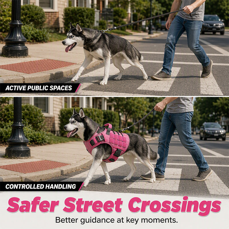 🐶 Chaleco táctico para perros de tela Oxford | Resistente al agua y reforzado 🛡️ | Asa de levantamiento rápido ✋ | Ergonómico y cómodo 🐾 | Tallas S–XL, 5 colores 🎨