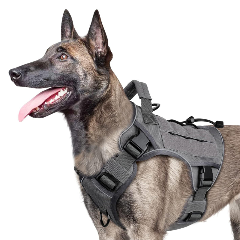 🐶 Chaleco táctico para perros de tela Oxford | Resistente al agua y reforzado 🛡️ | Asa de levantamiento rápido ✋ | Ergonómico y cómodo 🐾 | Tallas S–XL, 5 colores 🎨