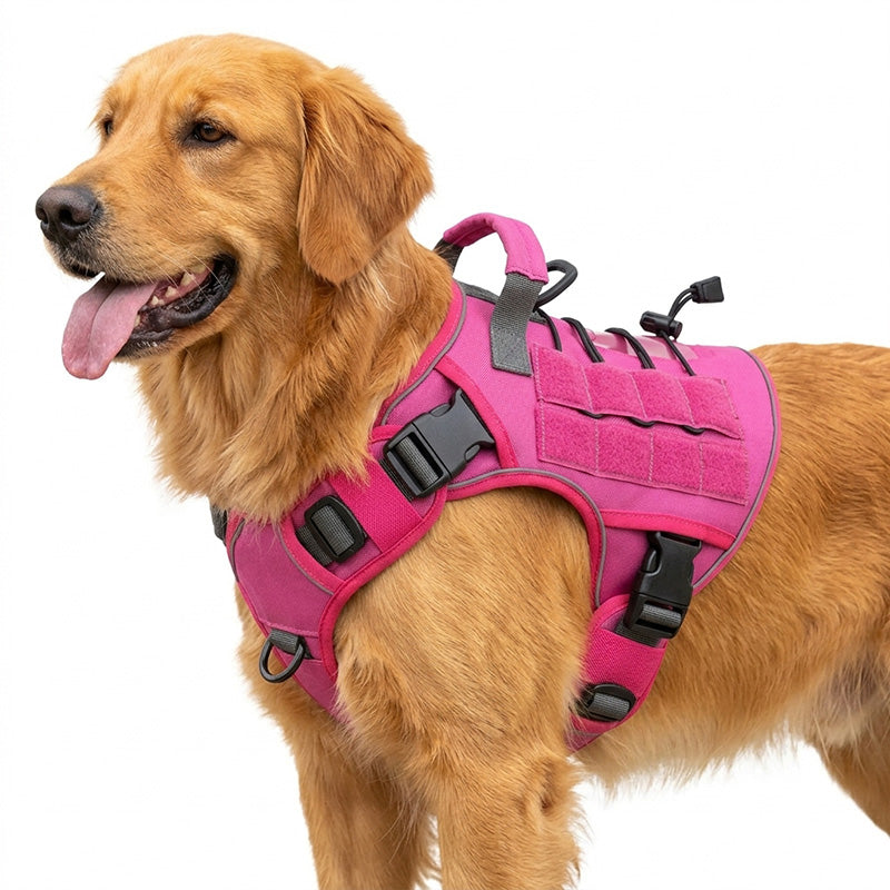 🐶 Chaleco táctico para perros de tela Oxford | Resistente al agua y reforzado 🛡️ | Asa de levantamiento rápido ✋ | Ergonómico y cómodo 🐾 | Tallas S–XL, 5 colores 🎨
