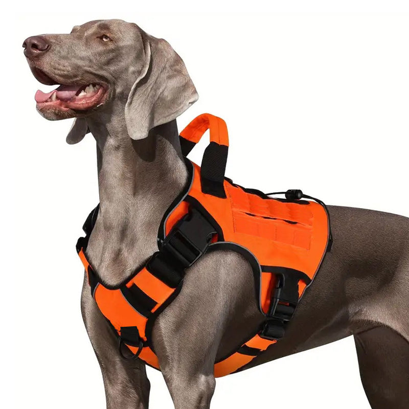 🐶 Chaleco táctico para perros de tela Oxford | Resistente al agua y reforzado 🛡️ | Asa de levantamiento rápido ✋ | Ergonómico y cómodo 🐾 | Tallas S–XL, 5 colores 🎨