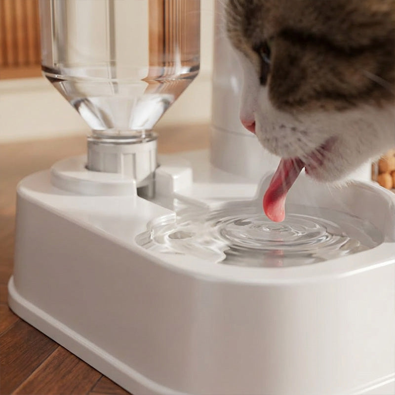 Comedero automático 2 en 1 con dispensador de agua para mascotas