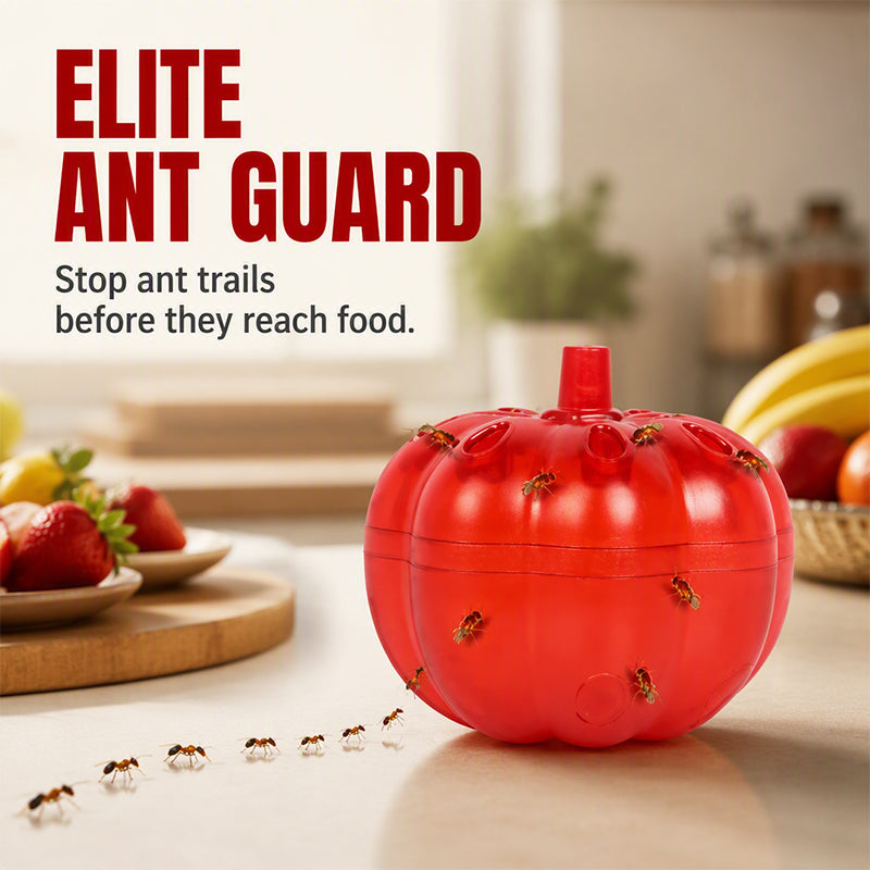 🎃 Pumpkin Pest Trap – Discreet Indoor Ant & Fly Control