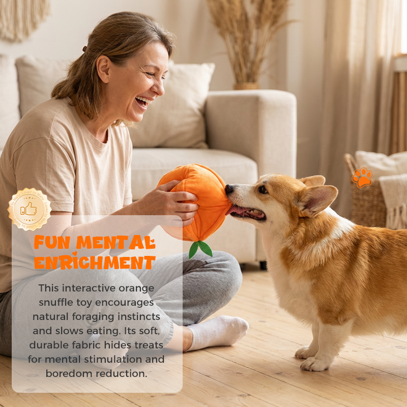 Juguete de peluche para perros en forma de naranja para esconder premios