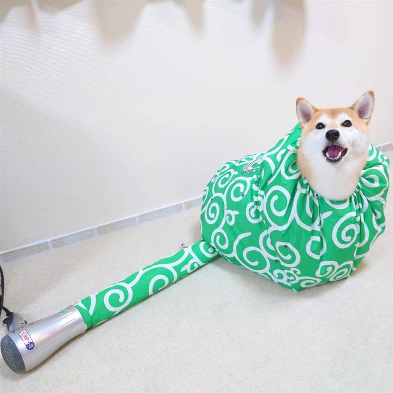 Bolsa de secado para perros y gatos