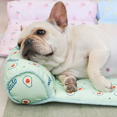 Cama Refrescante Gatos/Perros - El regalo favorito de su mascota
