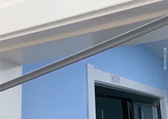 Tira de sellado autoadhesiva Typared para huecos de ventanas